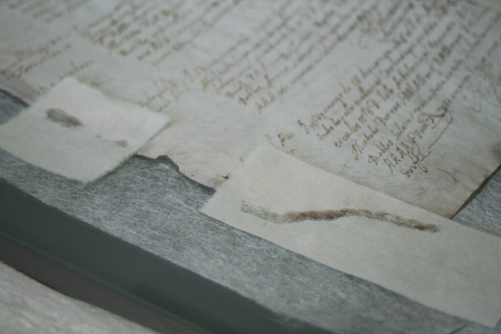 Restauración y digitalización de los Libros de Actos de la Universidad de Granada, 1642-1703