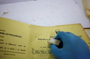 Organización, preservación y acceso al fondo de la  Escuela Nacional de Bibliotecarios (1944-1979)  Visibilización profesional de las mujeres en la  Bibliotecolgía y su acceso a cargos directivos