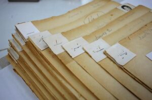 Organización, preservación y acceso al fondo de la  Escuela Nacional de Bibliotecarios (1944-1979)  Visibilización profesional de las mujeres en la  Bibliotecolgía y su acceso a cargos directivos