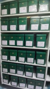 Organización, preservación y acceso al fondo de la  Escuela Nacional de Bibliotecarios (1944-1979)  Visibilización profesional de las mujeres en la  Bibliotecolgía y su acceso a cargos directivos