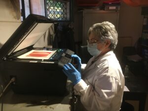 Proyecto de digitalización del Fondo Documental  Maria Freire (FDMF). Acciones para su difusión y  acceso virtual.