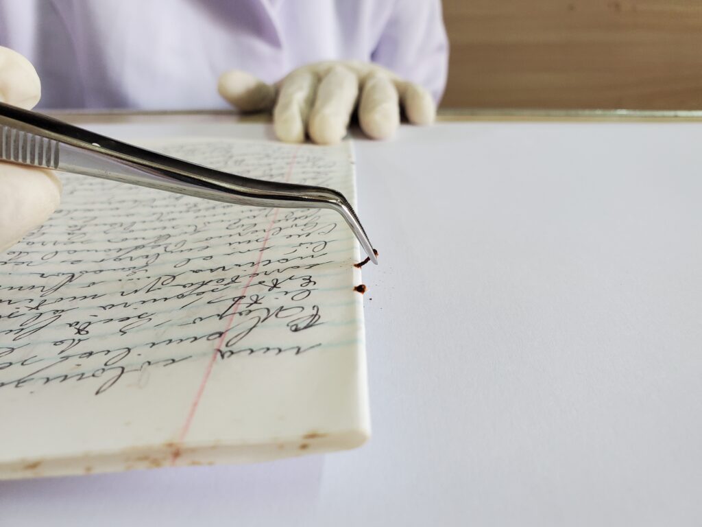 Conservación, digitalización y difusión de la Colección Luis Bolla del Archivo Histórico Salesiano del Perú