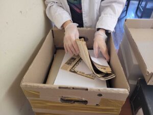 Tratamiento archivístico y puesta en acceso del archivo personal de Mabel Di Leo