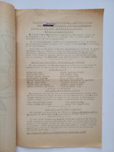 Tratamiento archivístico y puesta en acceso del archivo personal de Mabel Di Leo