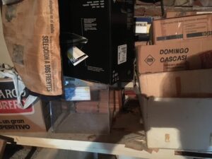 Tratamiento archivístico y puesta en acceso del archivo personal de Mabel Di Leo
