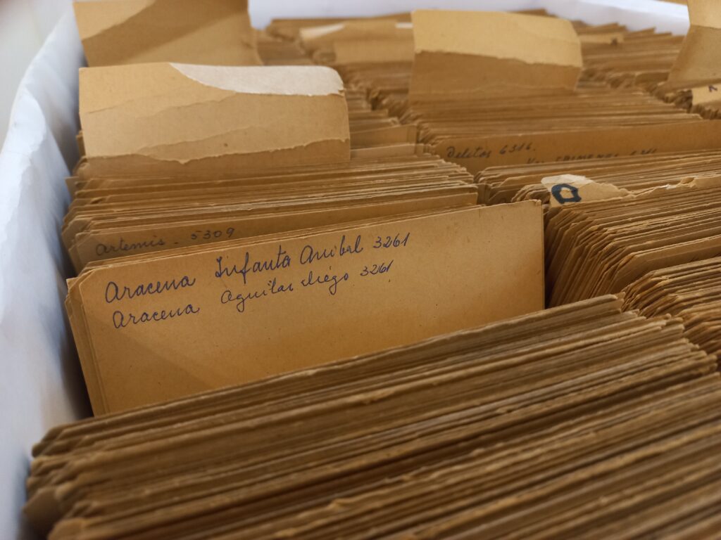 Organización, conservación y difusión del Fondo Benito Riquelme (primera etapa)