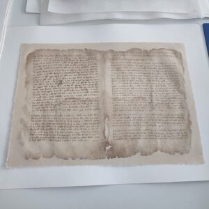 Restauración de documentos de los siglos XIII-XVI