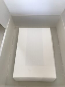 Proceso de trabajo para Álbumes del Acervo Fotográfico Ruth D. Lechuga