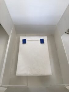 Proceso de trabajo para Álbumes del Acervo Fotográfico Ruth D. Lechuga