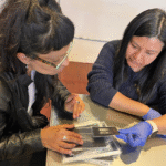 Recuperación y puesta en valor de los cuatro fondos históricos del Archivo Fotográfico Salazar: Propios y Apropiados