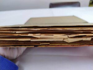 Digitalização de documentação textual - Série Naturalização - que registra a presença portuguesa na cidade do Rio de Janeiro (Séc XIX-XX)