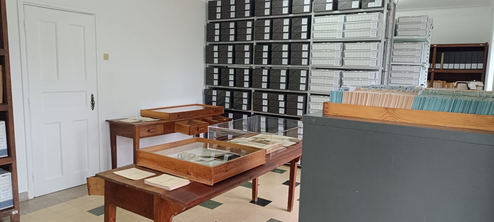 Salvaguarda e tratamento do arquivo histórico do Hospital Colónia Rovisco Pais, última leprosaria portuguesa