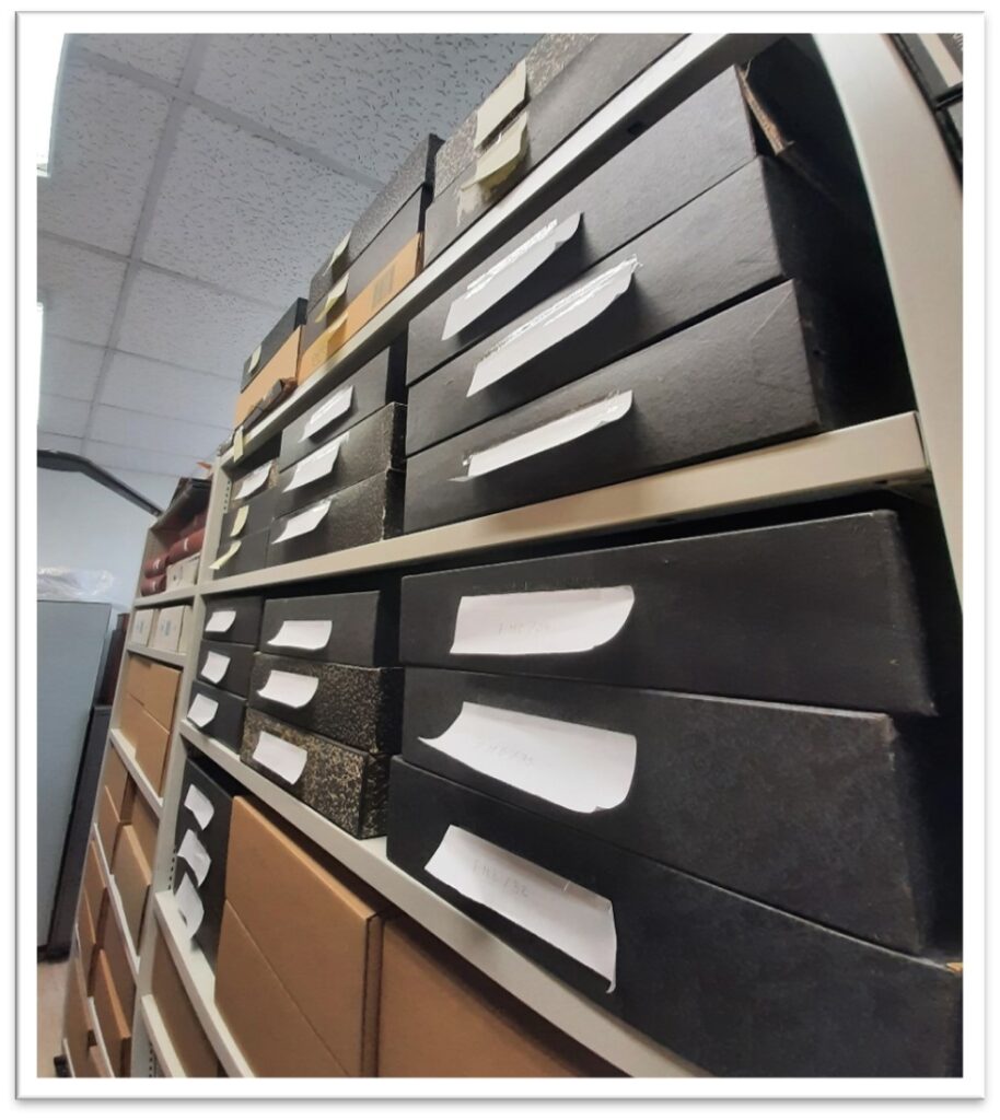 Entre a política e o teatro - o legado de Mário Barradas (1931-2009)