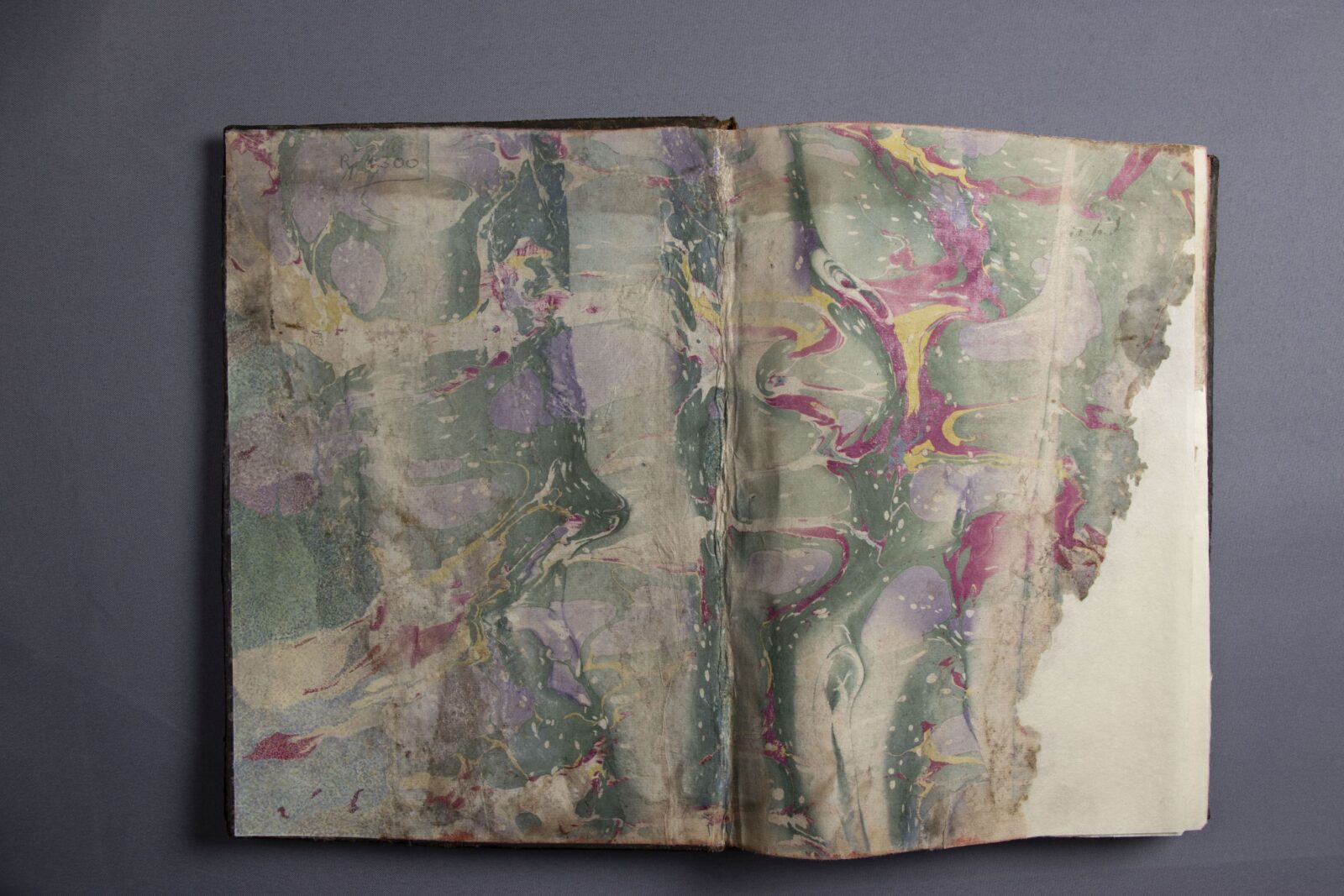 Recuperación y puesta en valor del Fondo Real Sociedad Económica de Amigos del País de Granada Recuperación y puesta en valor del Fondo Real Sociedad Económica de Amigos del País de Granada