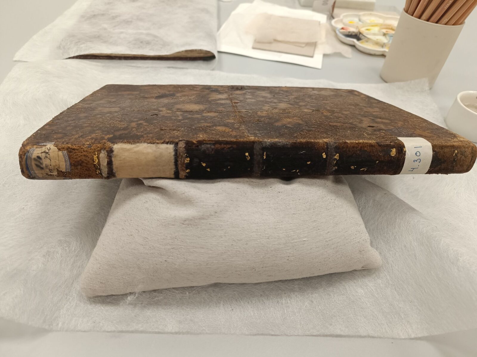 Recuperación y puesta en valor del Fondo Real Sociedad Económica de Amigos del País de Granada Recuperación y puesta en valor del Fondo Real Sociedad Económica de Amigos del País de Granada