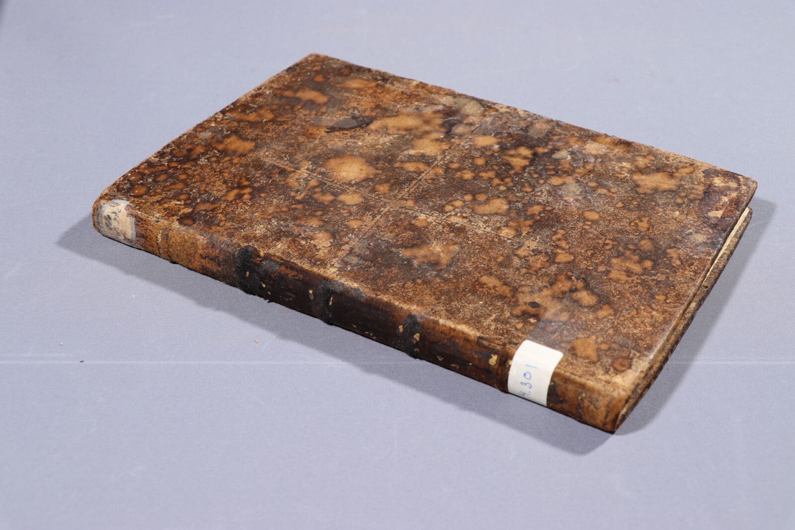 Recuperación y puesta en valor del Fondo Real Sociedad Económica de Amigos del País de Granada Recuperación y puesta en valor del Fondo Real Sociedad Económica de Amigos del País de Granada