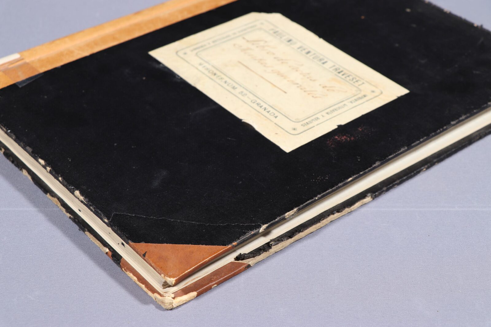 Recuperación y puesta en valor del Fondo Real Sociedad Económica de Amigos del País de Granada Recuperación y puesta en valor del Fondo Real Sociedad Económica de Amigos del País de Granada